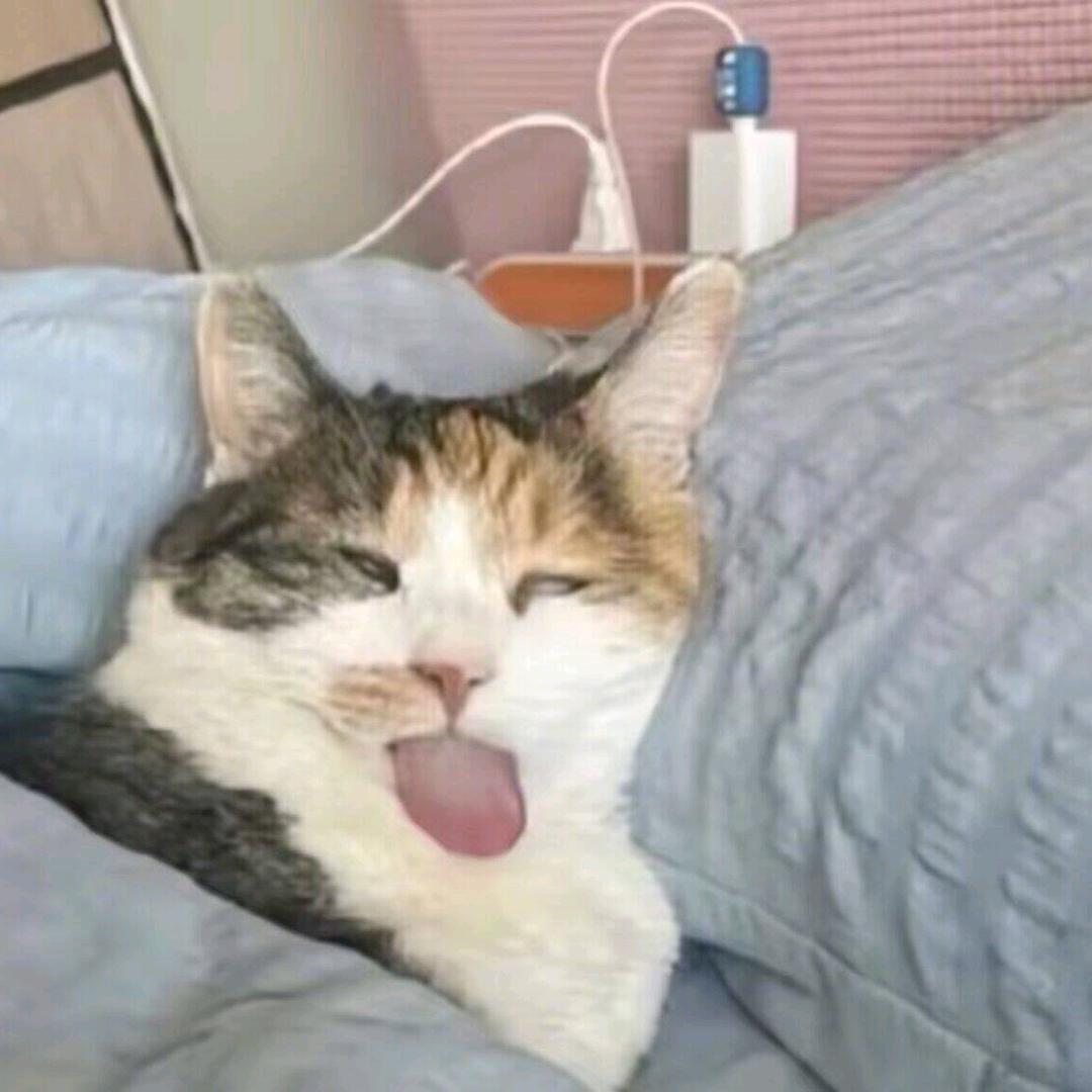 重生之变成水母乱蜇人