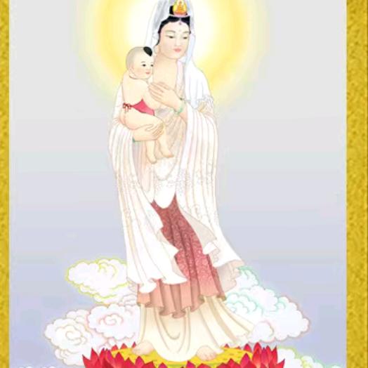 善童师傅A号