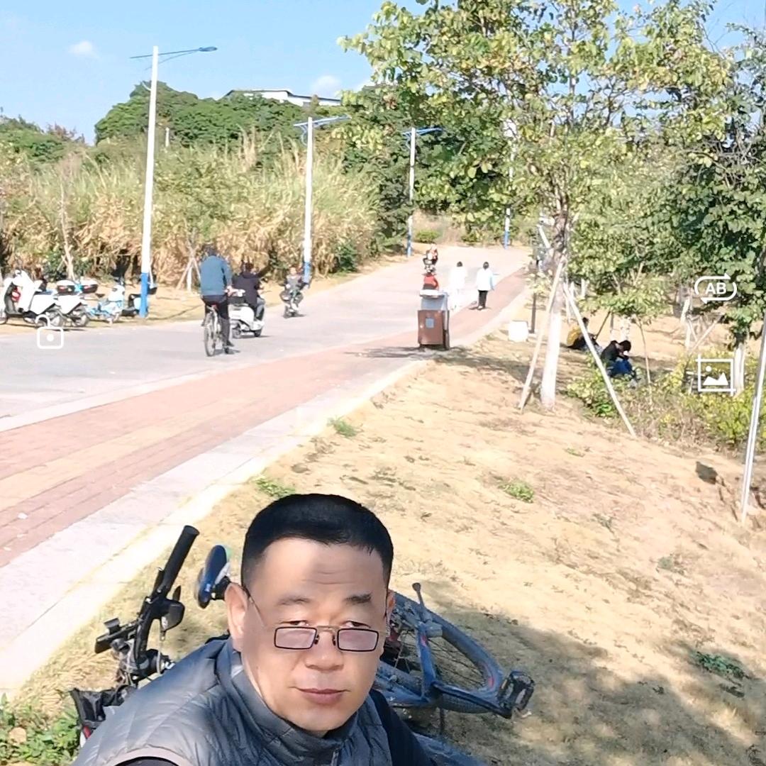 老杨Y