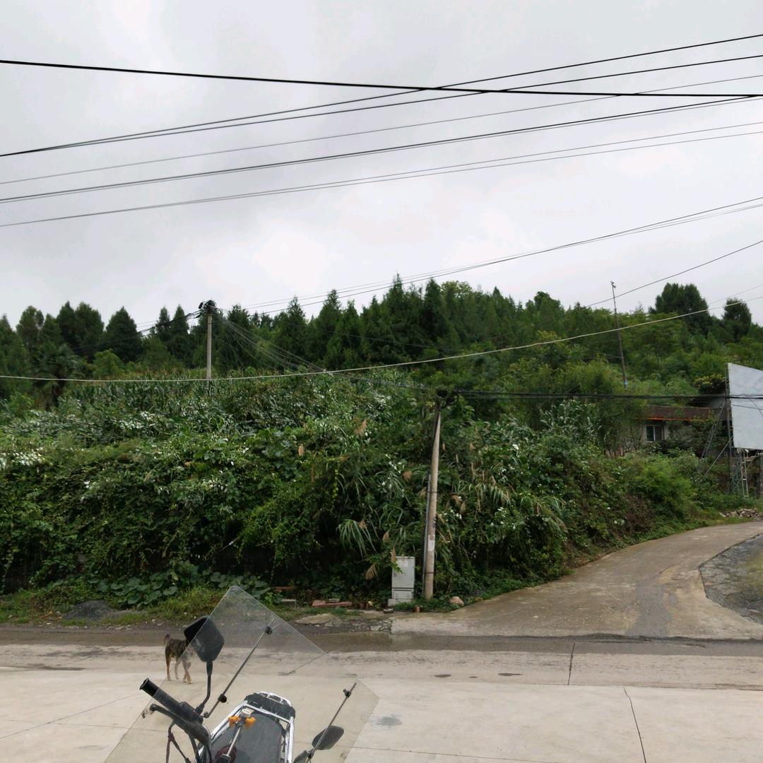 用户阿新㇏
