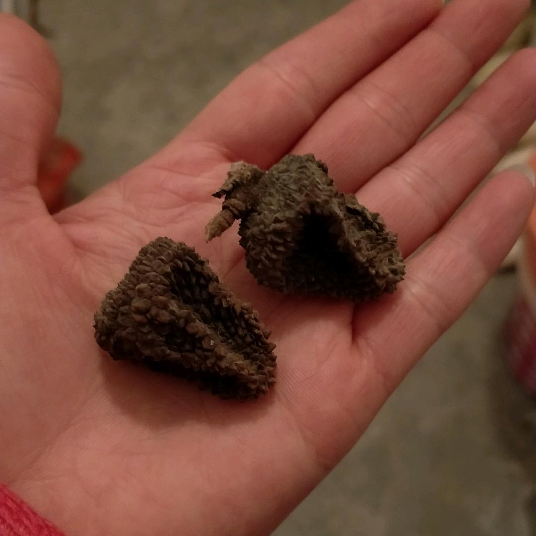 生活可曾放过谁