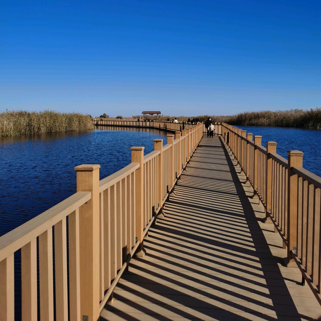 雄安新区注册执照