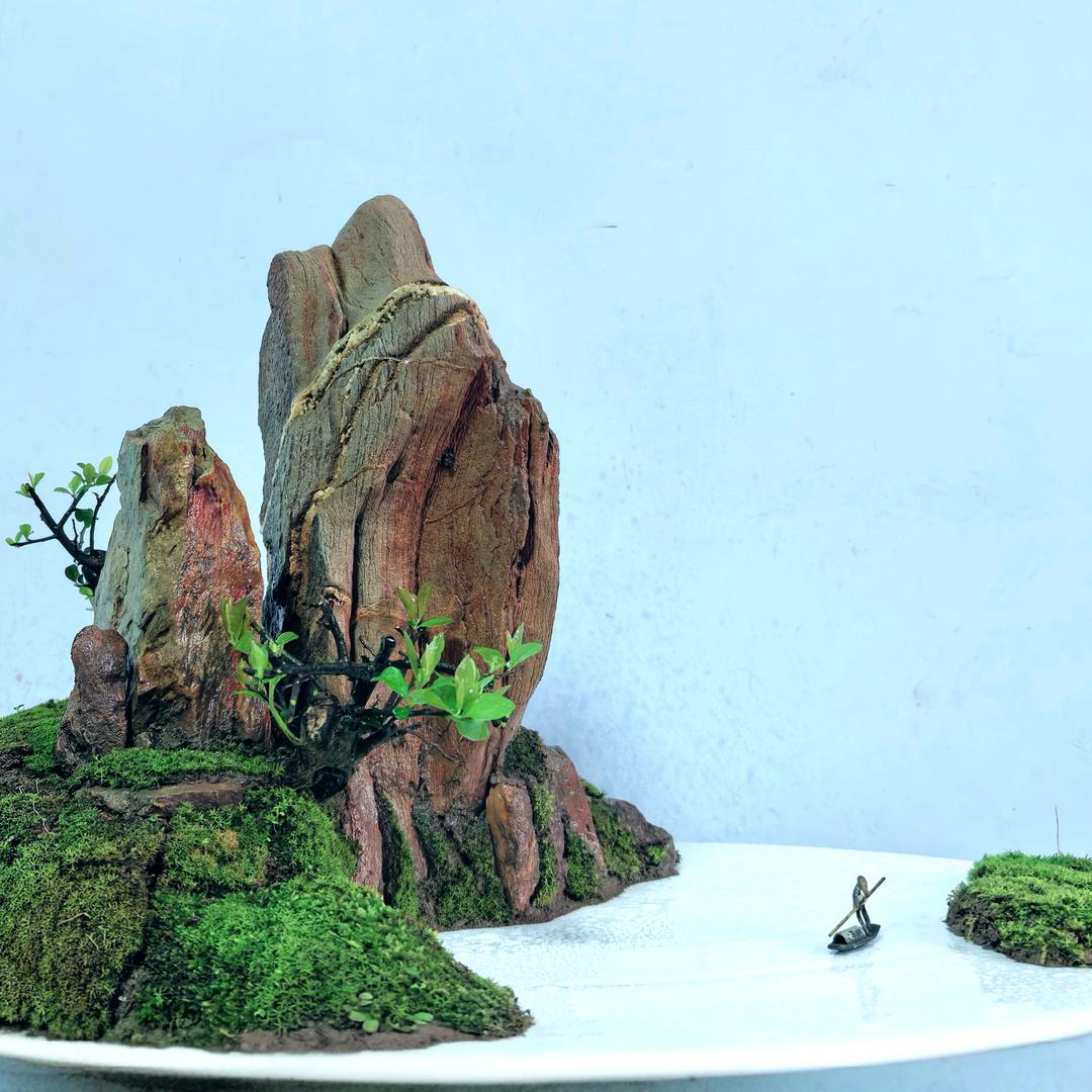 宇🇨🇳盆景（WZY）