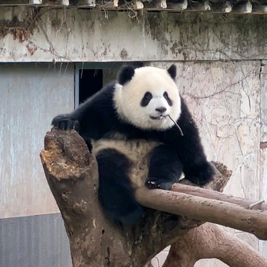 淡淡的痕迹