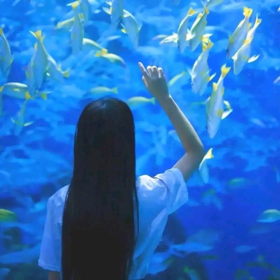 不吃肉的曦曦