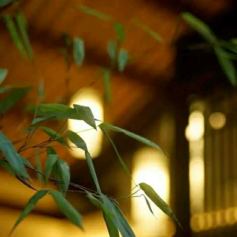 香茗茶苑