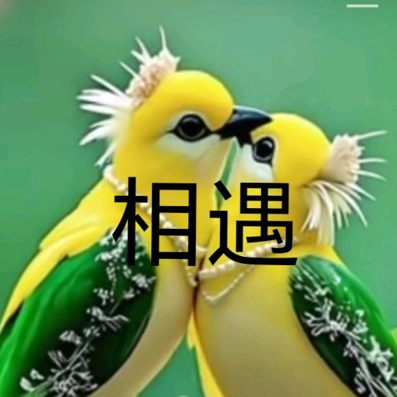 相遇