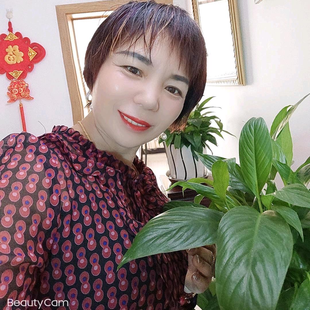 幸福在哪里