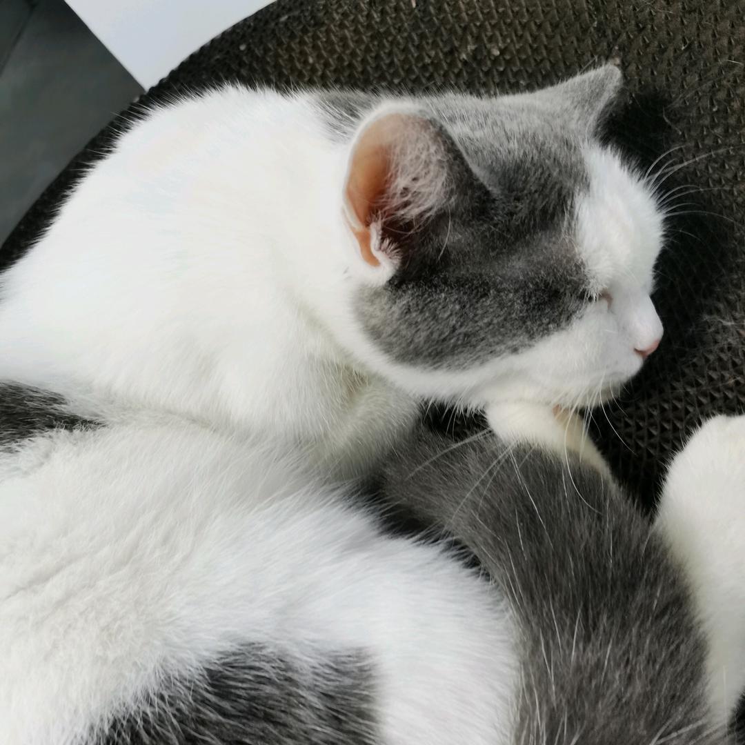 古希腊掌管H2o的神