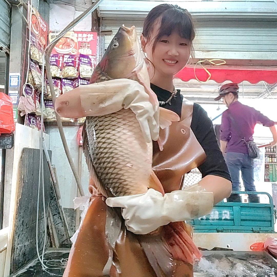 磊磊活鱼官方号