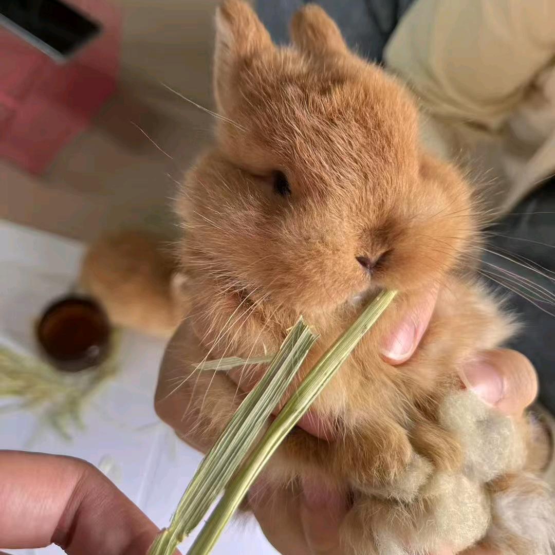 ٩(*´◒`*)۶