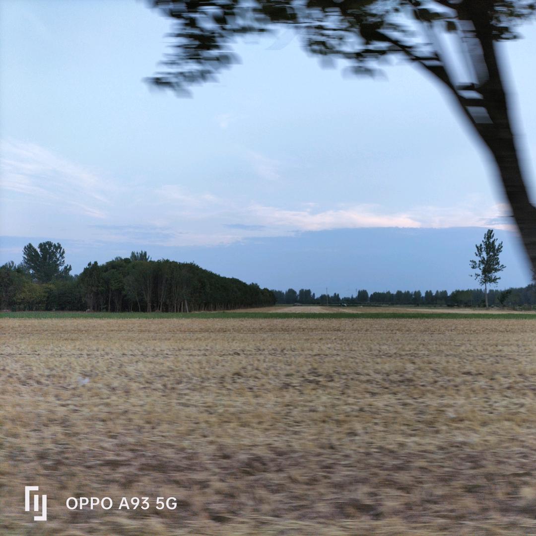 被风吹不散的记忆