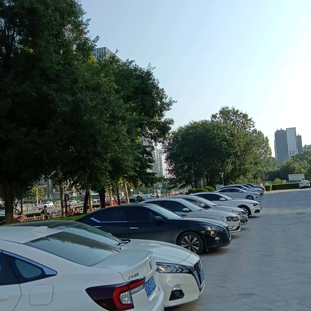 只看不刷