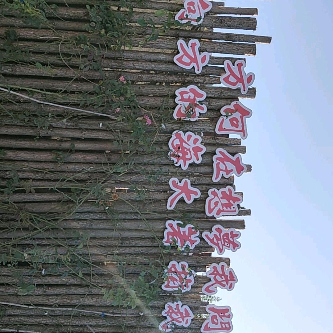 宁静致远
