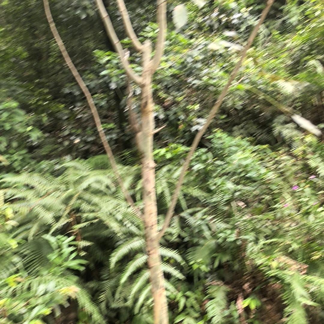 用户