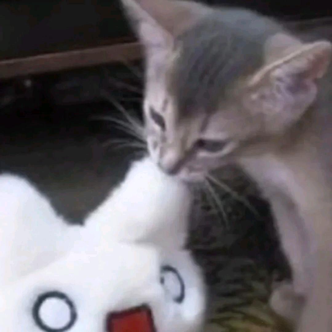 冰红茶