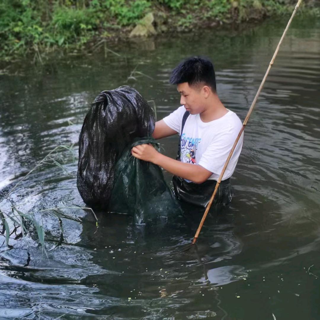 盘锦稻田蟹小刘🦀