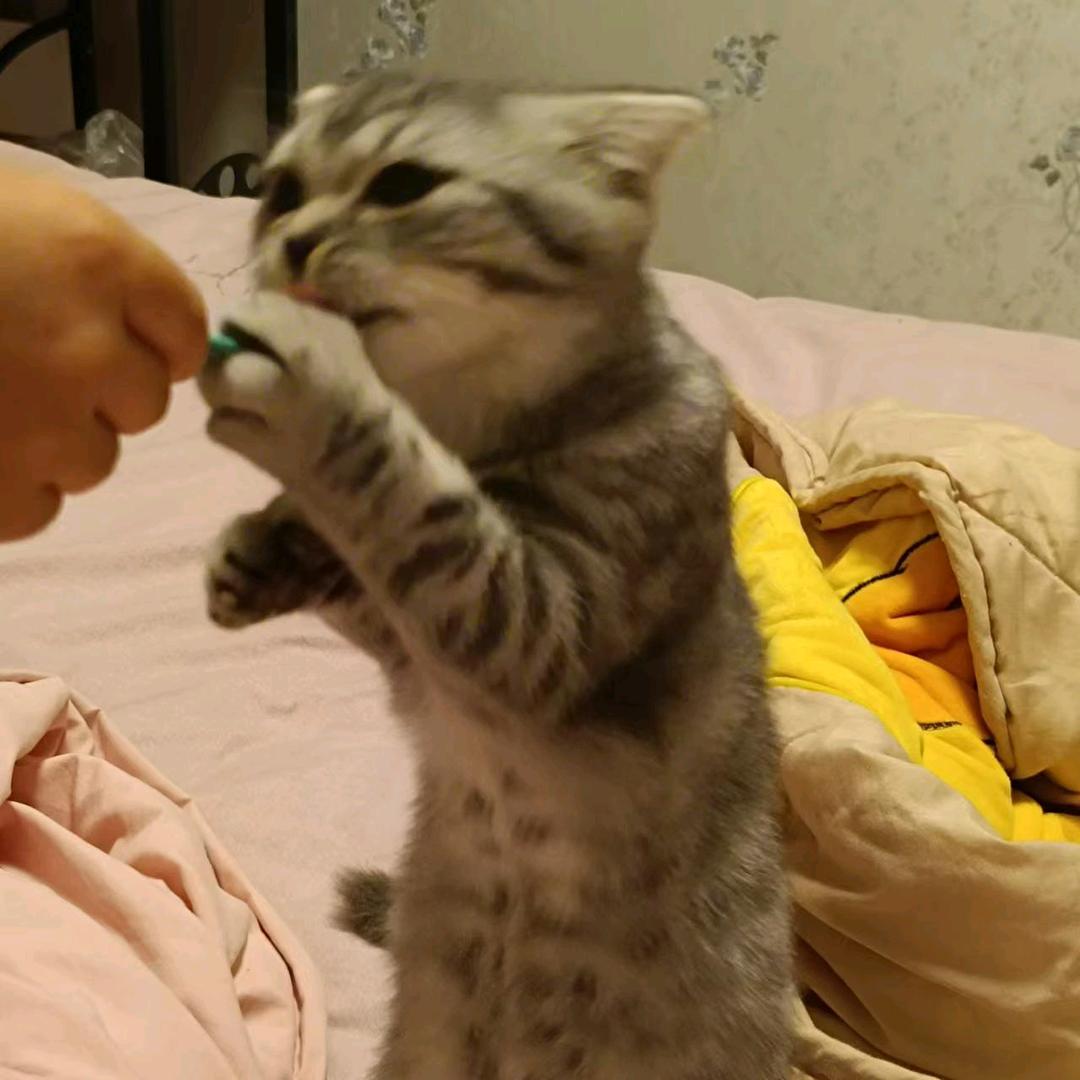 姐的脾气你招惹不起。