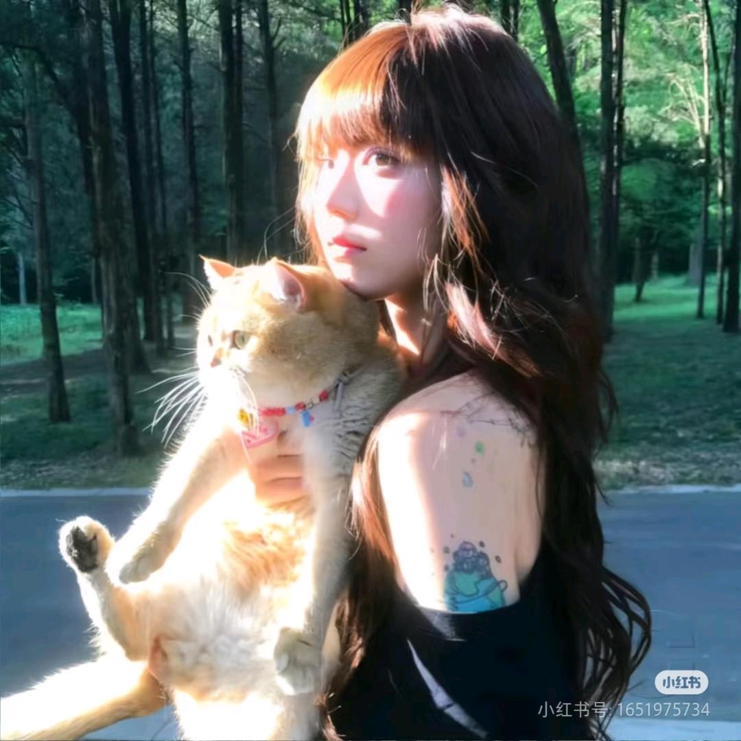 家有猫咪小宝