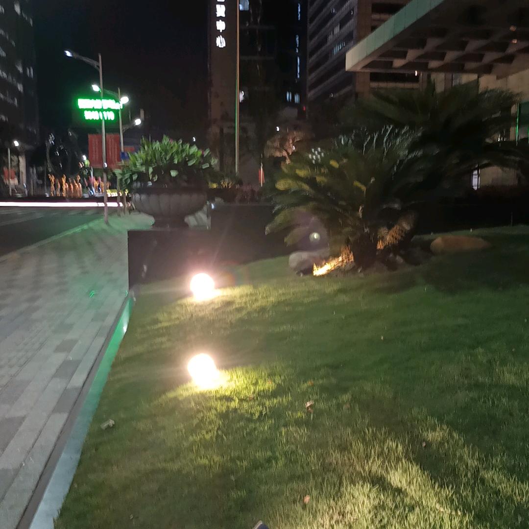 枣庄涛哥小号！！