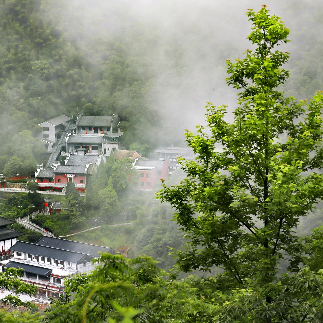 杨岐山景区-霖霖