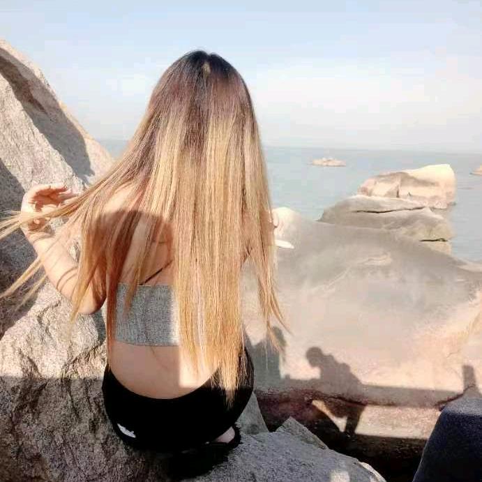 凤宝💋