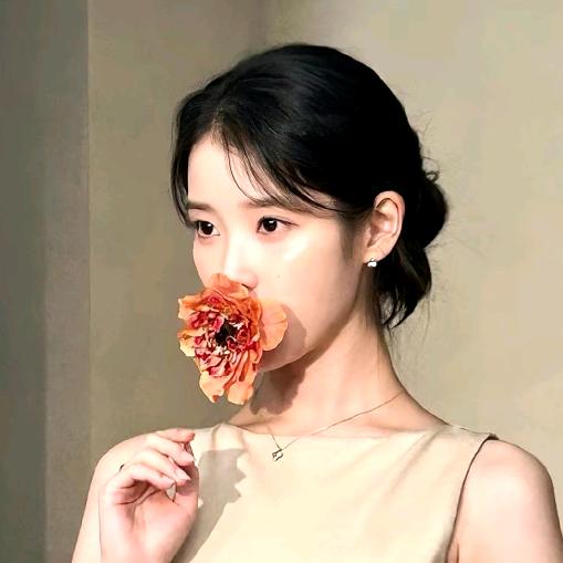 一只白菜