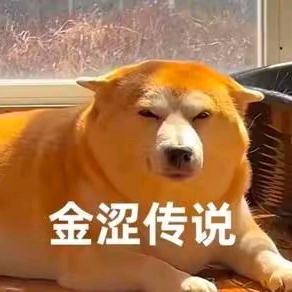 不着调