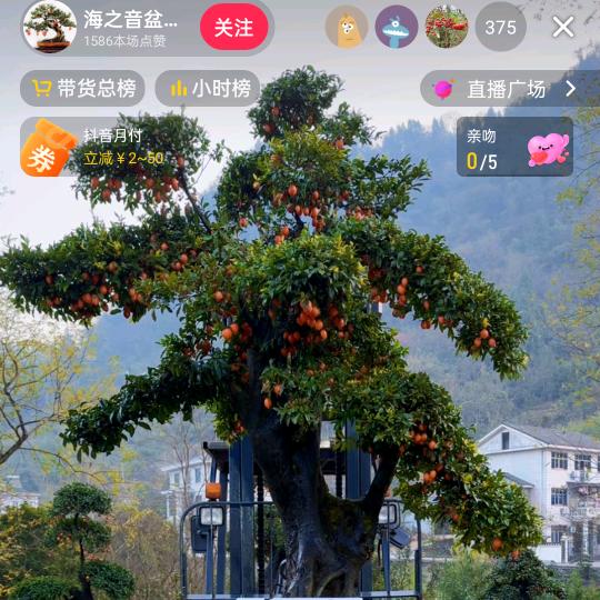 江少