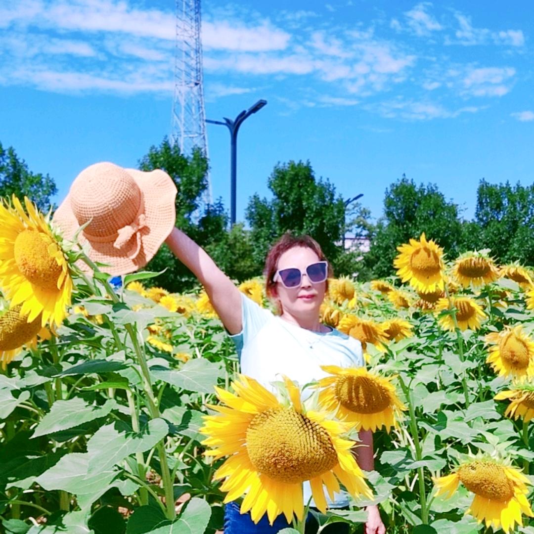🌻铿锵玫瑰⁶¹⁸🌻
