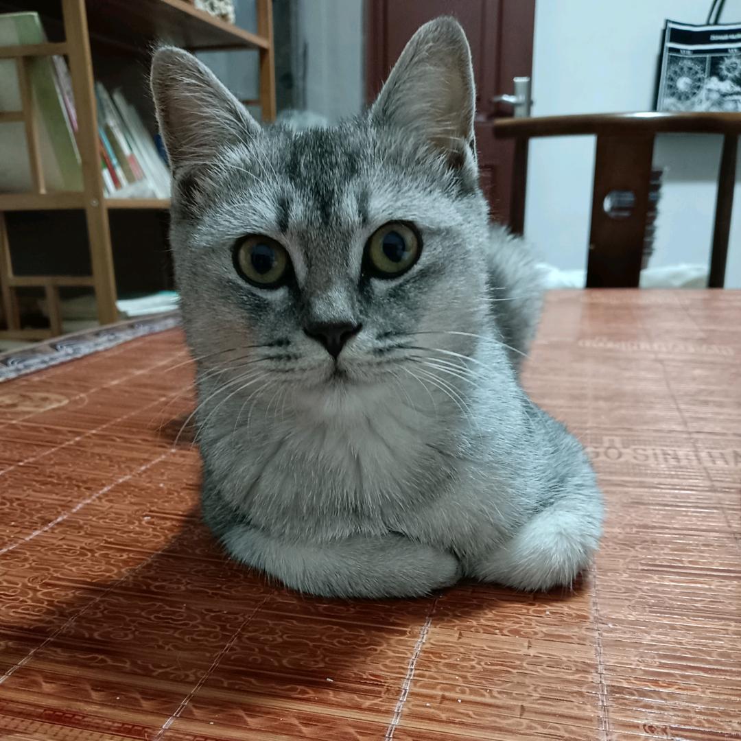 庐陵小民