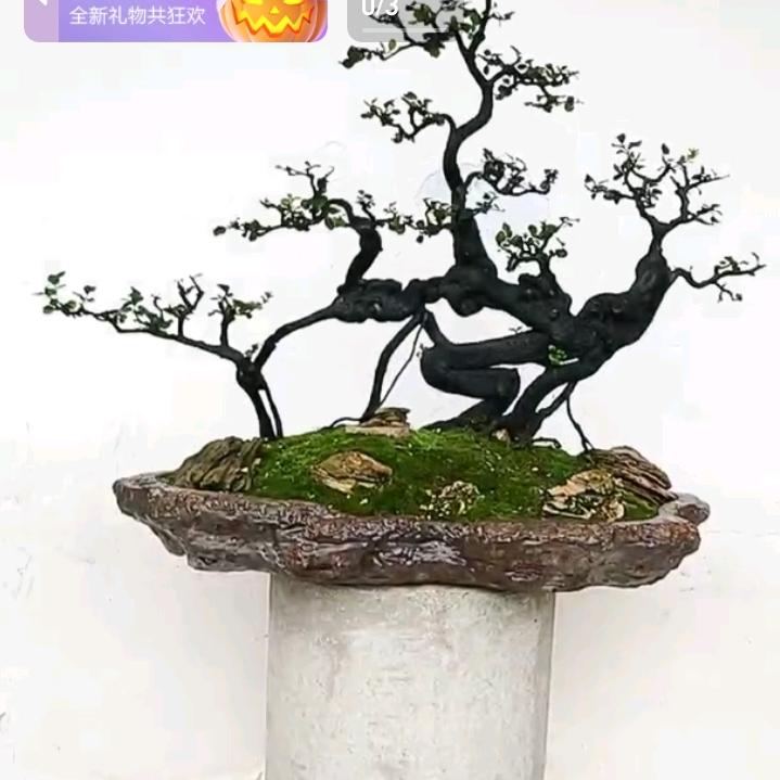 罗木匠