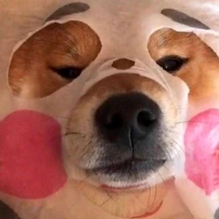 咕噜咕噜