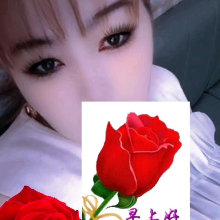 古丽
