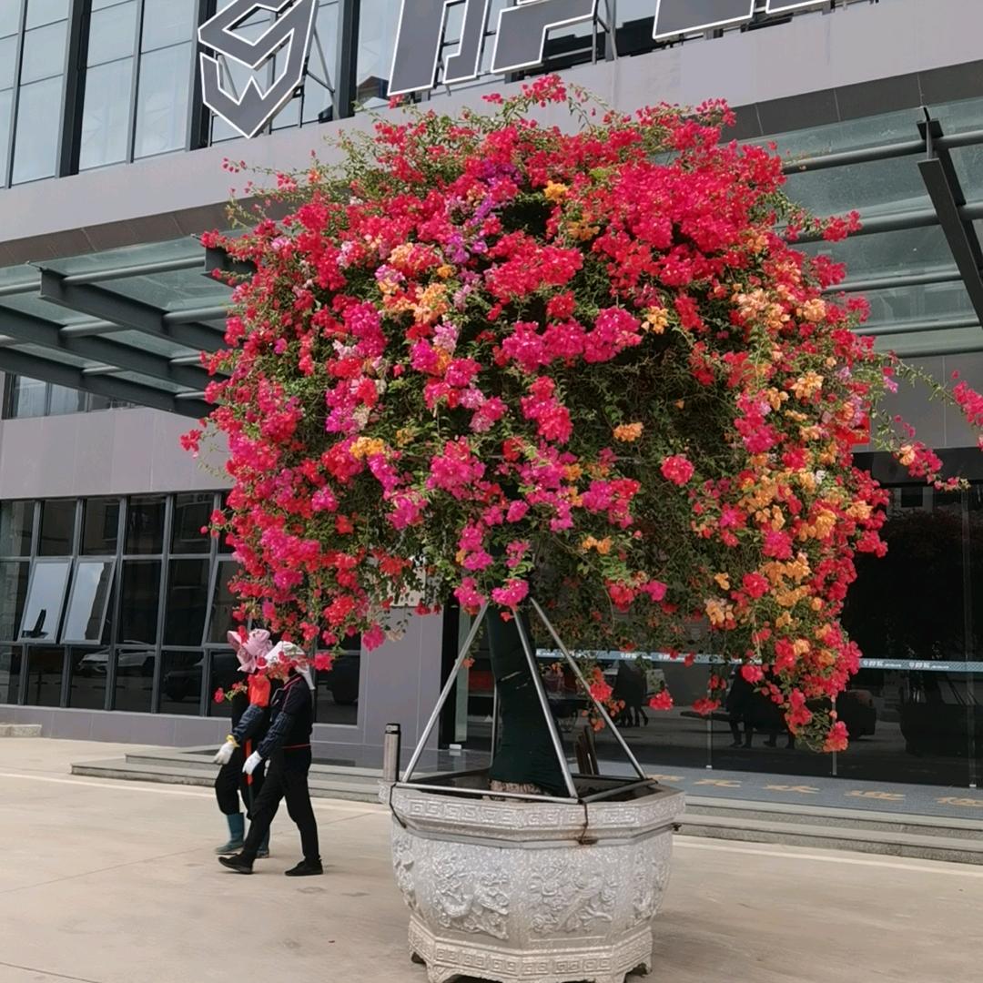 不相识到相识一一很高兴认识你