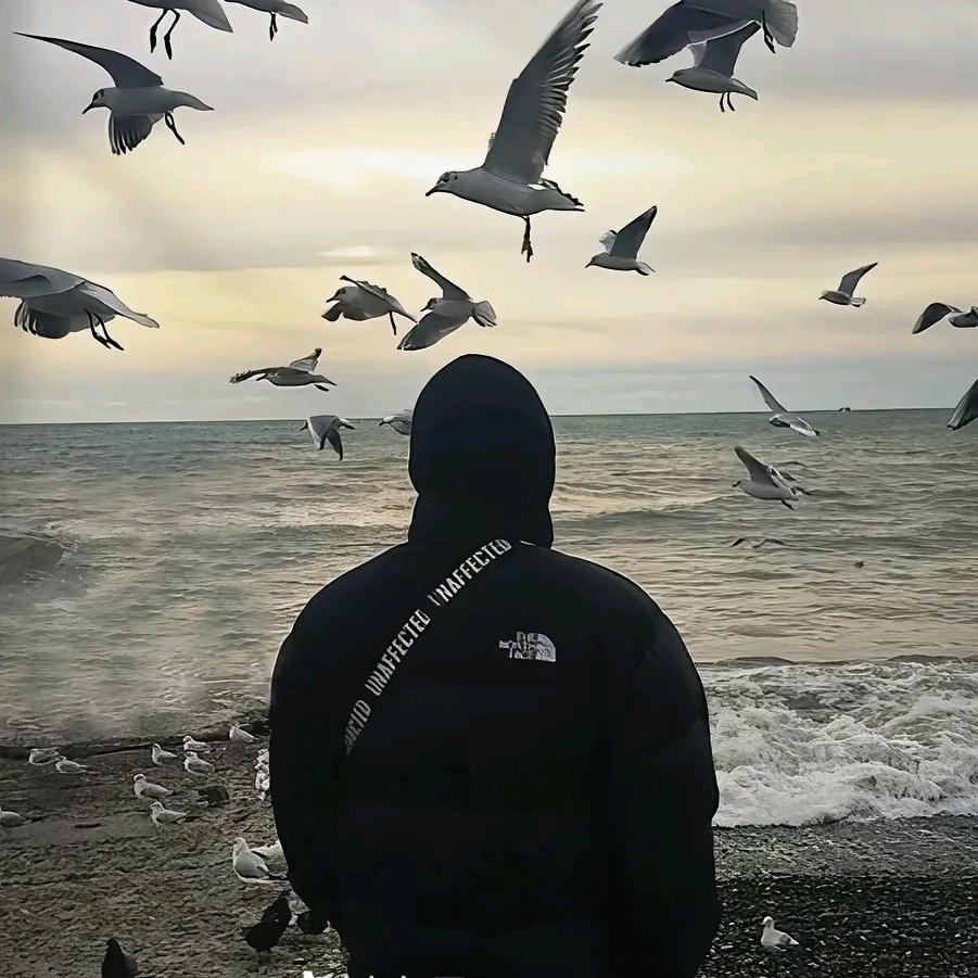 土豆♂你个马铃薯