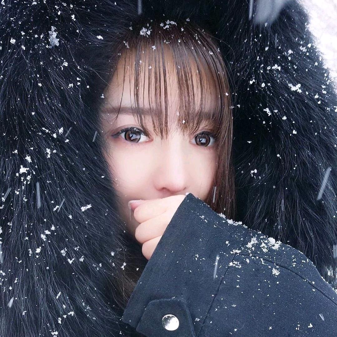 清梅柳柳梅