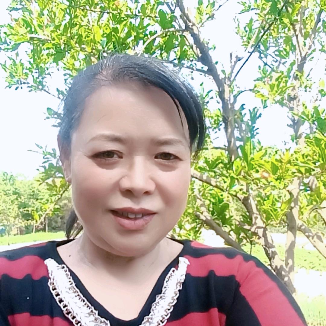 台子欣橱窗好物