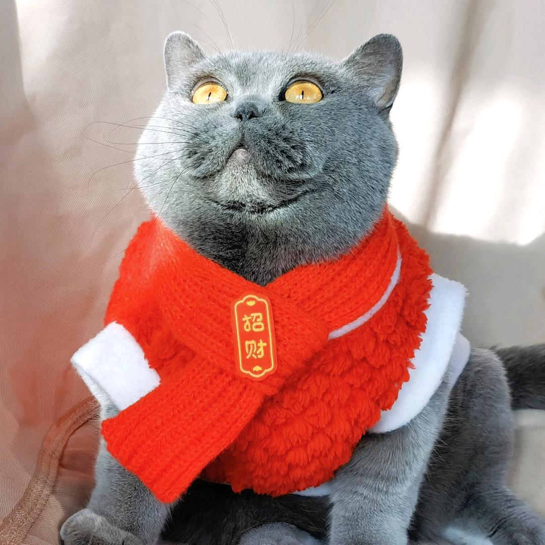 啊对对对