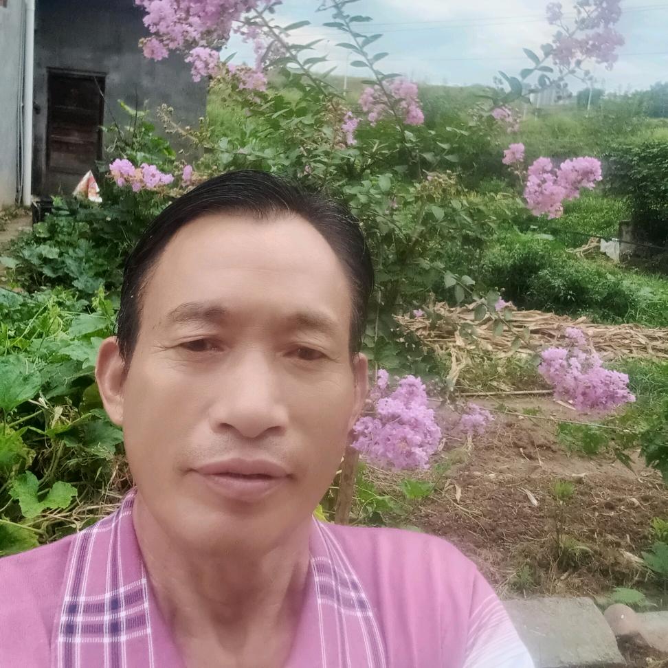 竹林听海