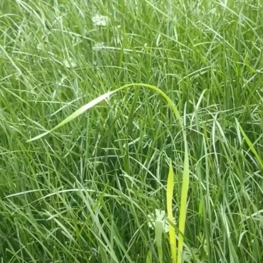 世界就这么回事