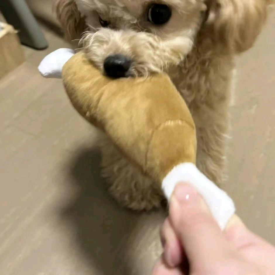 温呀温小杨