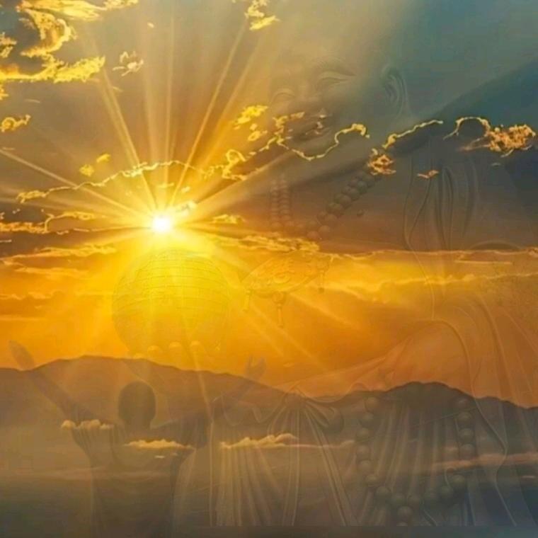 🌹拥☀️阳 光☀️抱🌹