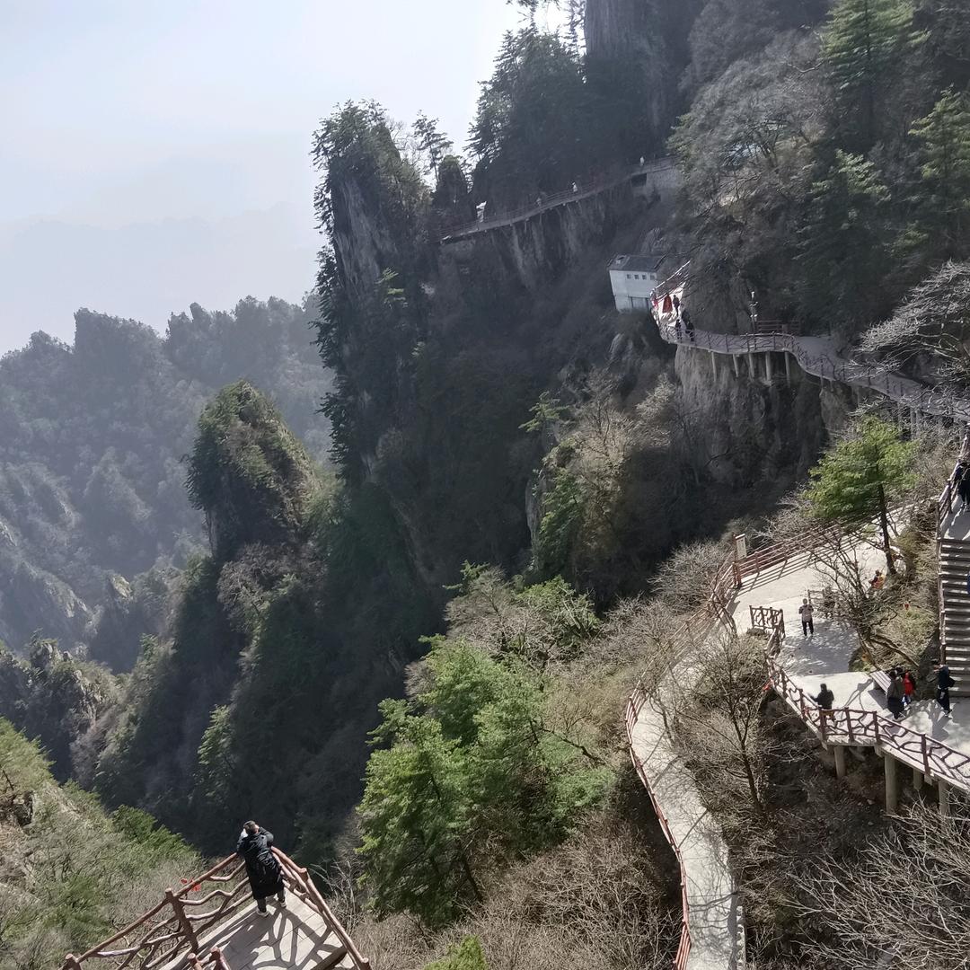 短腿元宝