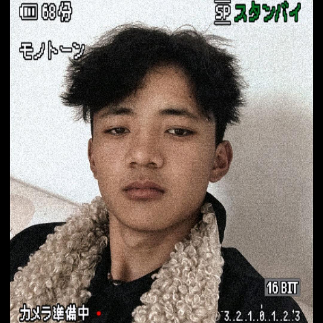 风与路人