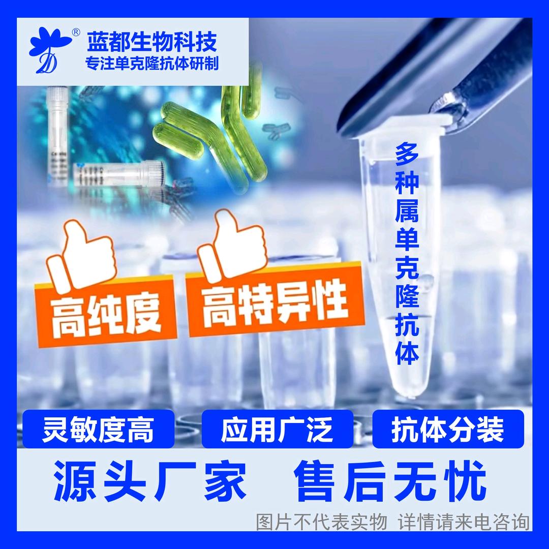 AA蓝都生物科技-单克隆抗体