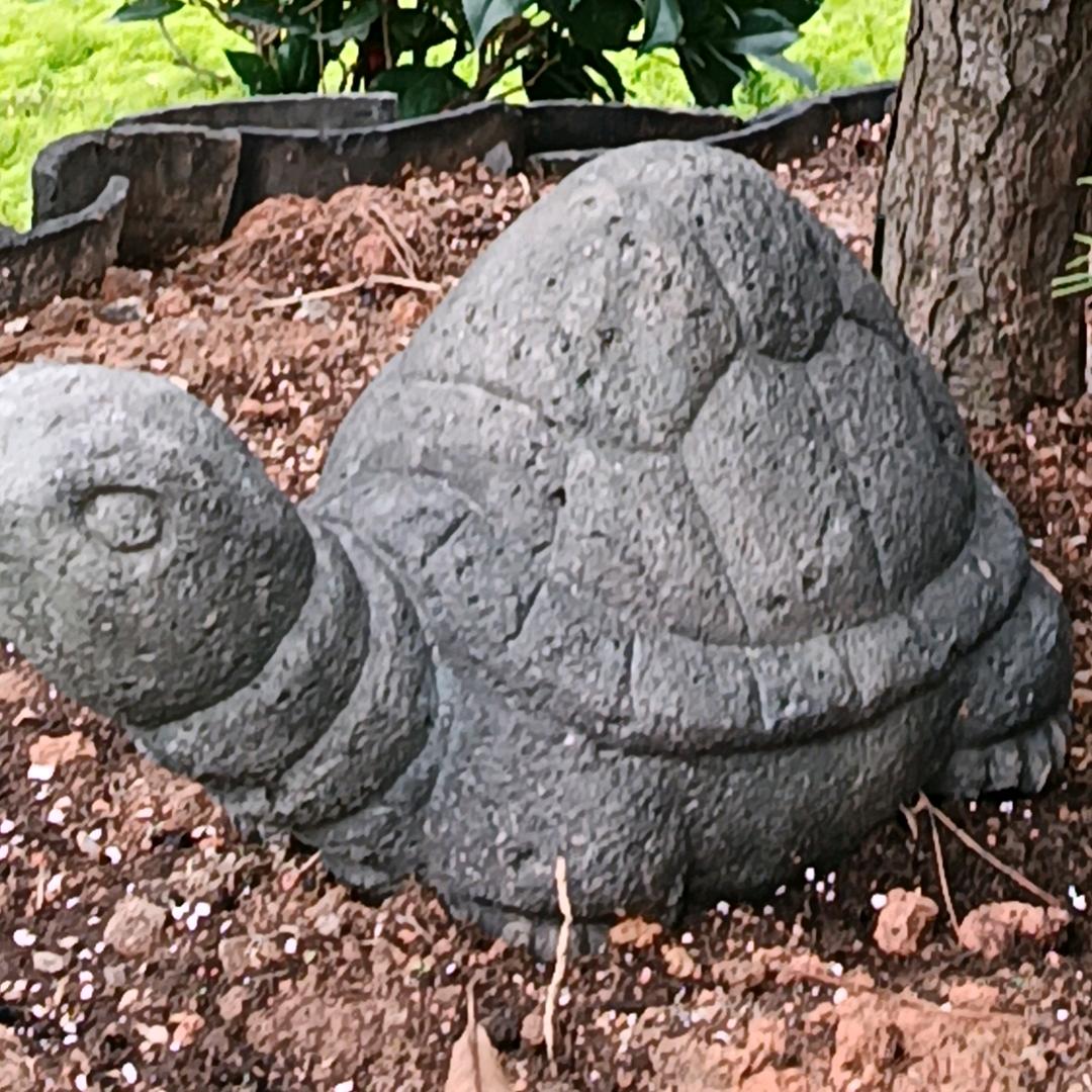 锋少钢结构工程焊工