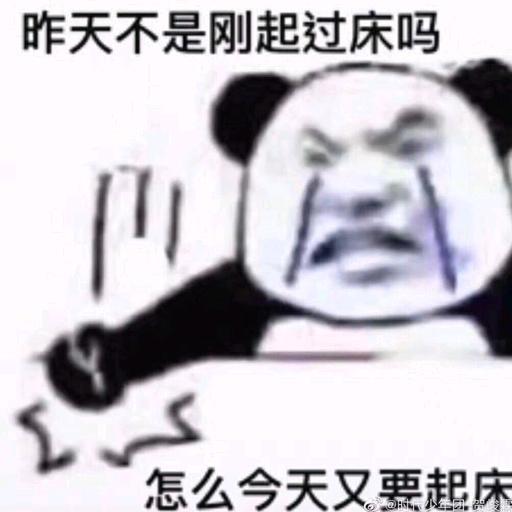 迪克大仙