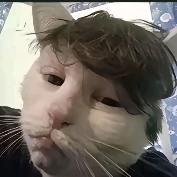 桑陌