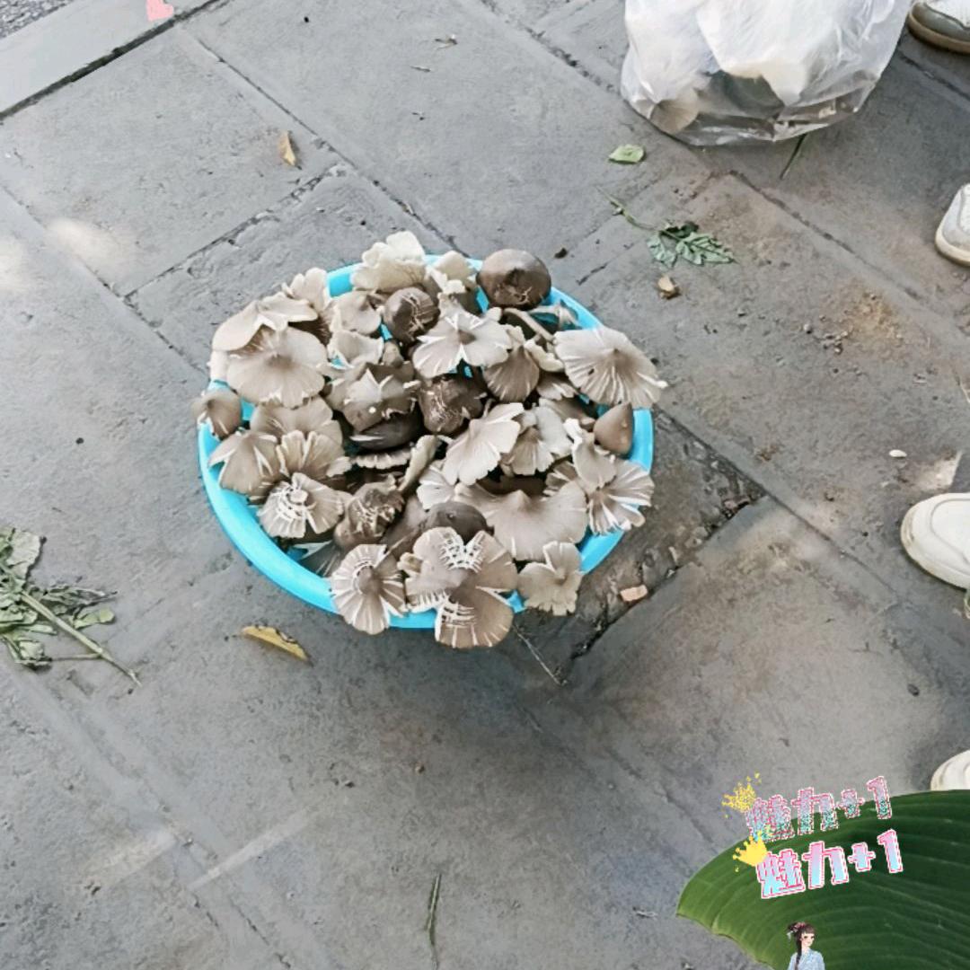 相信我自己